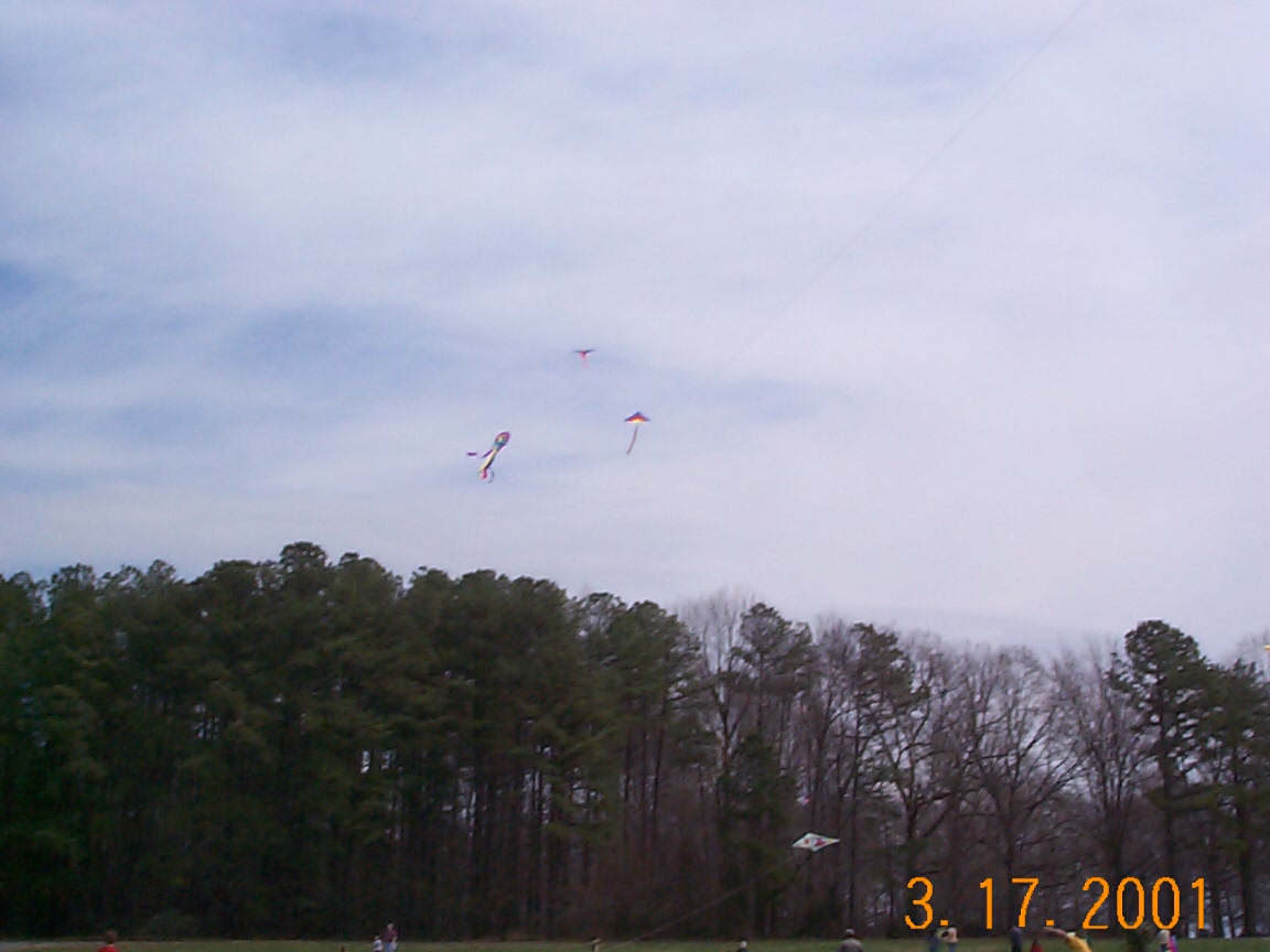 ./2001/Kite Day/DCP00642.JPG